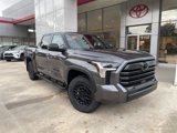 New 2025 Toyota Tundra SR5 image 2
