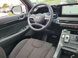 New 2025 Hyundai Palisade Calligraphy image 5