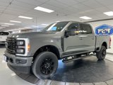 New 2025 Ford F350 4x4 Crew Cab Super Duty image 4