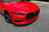 Used 2024 Ford Mustang Convertible image 4