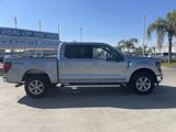 New 2025 Ford F150 XLT w/ Equipment Group 301A Standard image 6