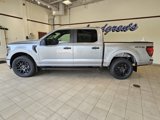 New 2025 Ford F150 STX w/ STX Black Appearance Package image 2