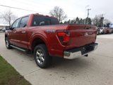 New 2025 Ford F150 XLT image 5
