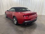 Used 2024 Ford Mustang GT Premium image 3