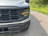 New 2025 Ford F150 STX image 2