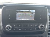 Used 2023 Ford Transit 250 Low Roof w/ Exterior Upgrade Package image 3