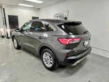 Used 2020 Ford Escape SE image 5