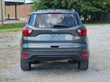 Used 2019 Ford Escape SE image 6