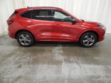 Used 2024 Ford Escape ST-Line w/ Tech Pack #1 image 2