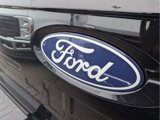 New 2025 Ford F150 XLT w/ Equipment Group 303A High image 6