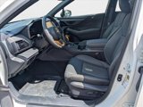 New 2025 Subaru Outback Wilderness image 4