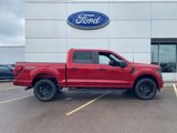 New 2025 Ford F150 STX image 5