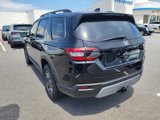 New 2025 Honda Pilot TrailSport image 3