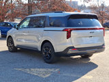 New 2025 Kia Carnival SX Prestige image 4