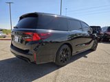 Used 2025 Honda Odyssey Sport-L image 6
