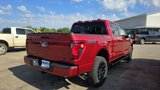 New 2025 Ford F150 XLT w/ Equipment Group 302A MID image 5