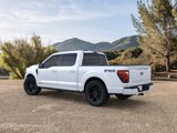 New 2025 Ford F150 Platinum w/ Equipment Group 702A High image 4