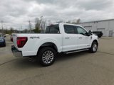 New 2025 Ford F150 Lariat w/ Equipment Group 501A Mid image 3