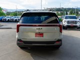 New 2026 Kia Carnival SX image 6