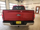 New 2025 Ford F150 XLT w/ Equipment Group 302A MID image 5