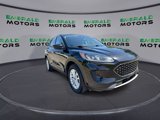 Used 2020 Ford Escape SE image 2