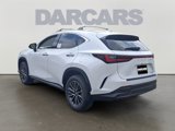 New 2026 Lexus NX 350 AWD w/ Premium Package image 3