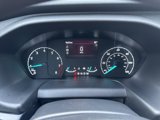 Used 2023 Ford Transit 250 Low Roof w/ Exterior Upgrade Package image 2