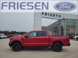 New 2025 Ford F150 STX w/ Equipment Group 201A FX4 image 4