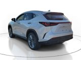 New 2025 Lexus NX 300h AWD w/ Accessory Package (2T) image 3