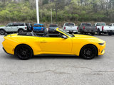 Used 2024 Ford Mustang Convertible w/ Mustang Nite Pony Package image 4