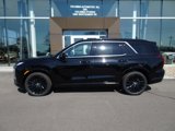 New 2025 Hyundai Palisade Calligraphy image 2