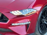 Used 2021 Ford Mustang GT Premium w/ GT Performance Package image 5