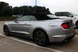 Used 2023 Ford Mustang Premium w/ Equipment Group 201A image 3
