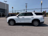 New 2025 Hyundai Palisade SEL image 4