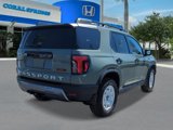 New 2026 Honda Passport TrailSport Elite image 5