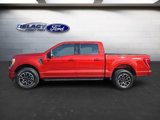Used 2023 Ford F150 XLT w/ Equipment Group 302A High image 2