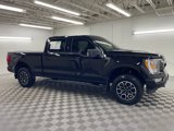 Used 2022 Ford F150 XLT w/ Equipment Group 302A High image 2
