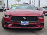 Certified 2024 Ford Mustang Premium image 4