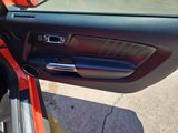 Used 2016 Ford Mustang Premium w/ Equipment Group 201A image 5