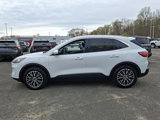 Certified 2022 Ford Escape SEL image 4