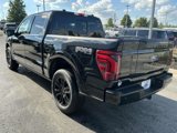 New 2025 Ford F150 Platinum image 4