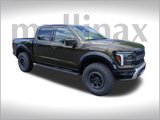 New 2025 Ford F150 Raptor image 1