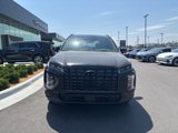 New 2025 Hyundai Palisade Calligraphy image 2