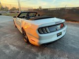 Used 2019 Ford Mustang Premium image 5