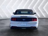 Used 2022 Ford Mustang Premium image 4