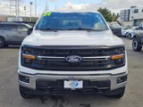 Used 2024 Ford F150 XLT image 2