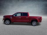 New 2025 Ford F150 XLT w/ Equipment Group 302A MID image 4