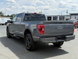 Used 2022 Ford F150 XLT w/ Equipment Group 302A High image 5