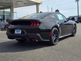 New 2025 Ford Mustang GT w/ Mustang Nite Pony Package image 3
