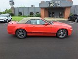 Used 2014 Ford Mustang Premium w/ Comfort Package image 2